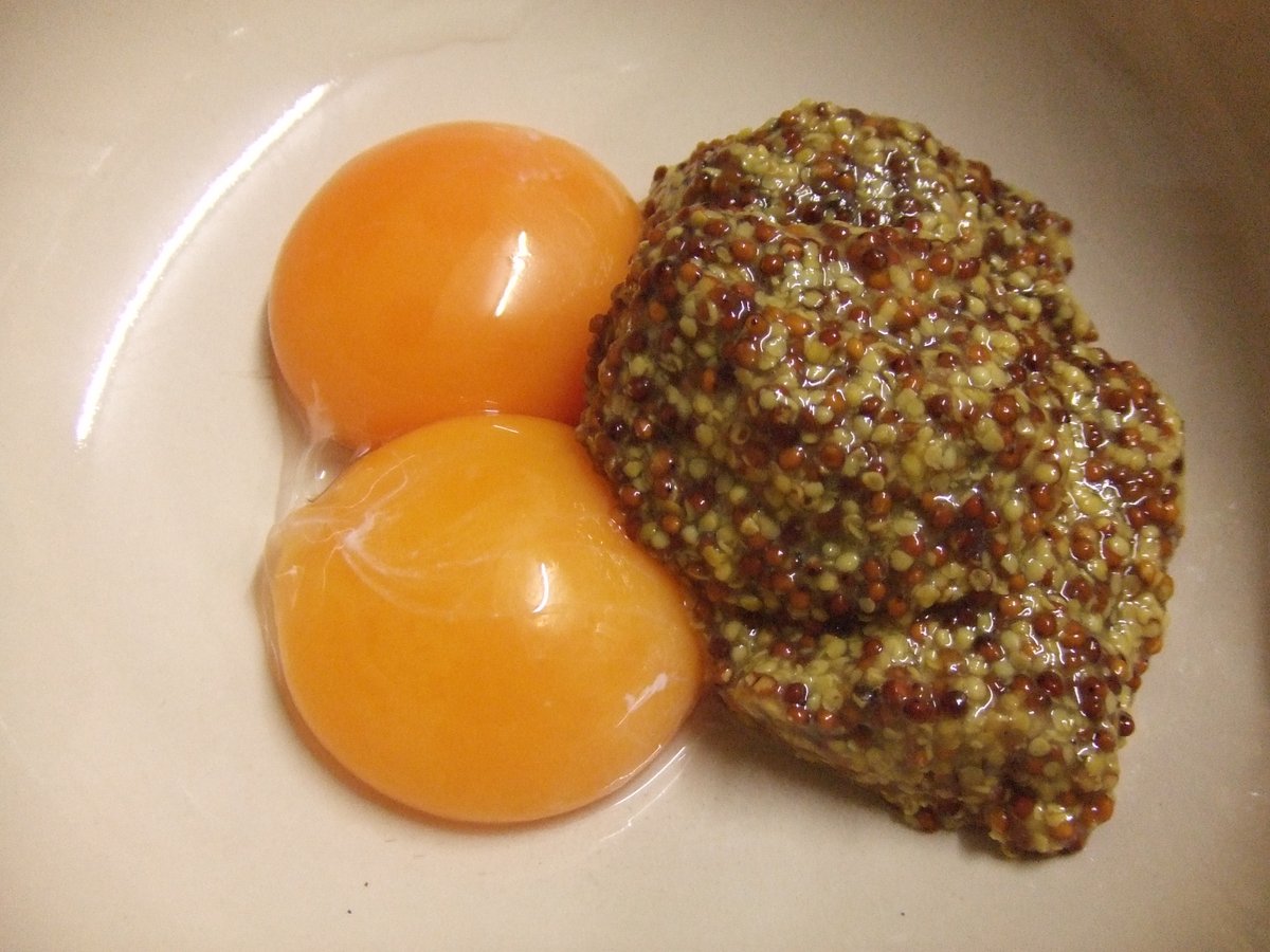 KurokoTail's tweet photo. ソースはマイユの粒マスタードと卵黄なのです
とろっとろで美味しかったのですコン
ヾ(*⌒￢⌒*)ノ
#MAILLE https://t.co/f4DZMv97Gg
