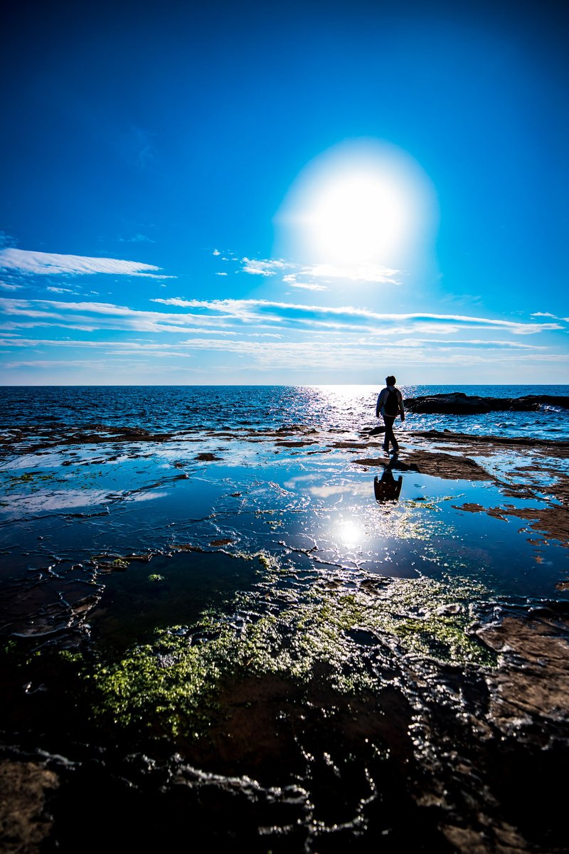 yoshito_photo1's tweet image. 水の星に生まれて