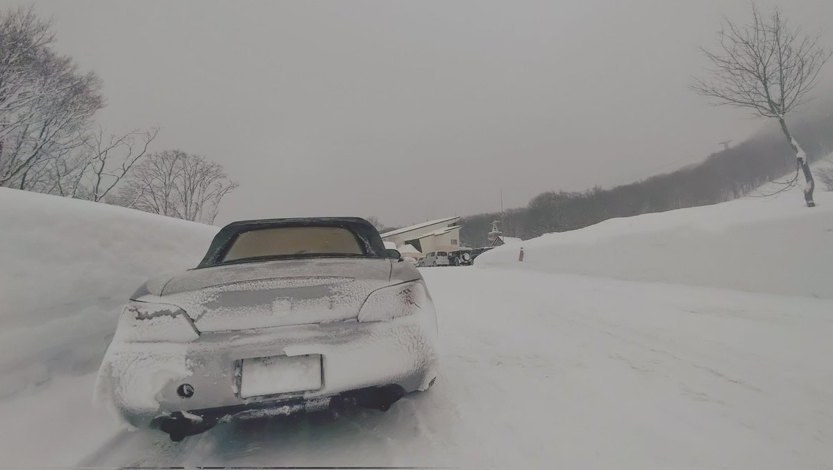 ( *¯ 口¯*)ﾅｰ( *¯ з¯*)ｳｰ