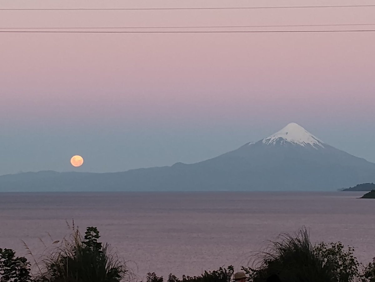 Así se veia hace unos minutos el volcán Osorno desde Puerto Varas y la luna al lado, una belleza! Feliz año nuevo a todos! <a href="/davidurra7/">David Urra 🛰 🌆🌅🌃 🌬🌧🌨</a> <a href="/_catalinacm/">CataDeLosCerros🏔</a> <a href="/_Siempre_Es_Hoy/">Marce 👻🎶</a> <a href="/aros_victoria/">Victoria Gómez Aros🌼🍁🌸🌹🦋🦋♥️💛🧡</a> <a href="/cfariasvega/">Cristian Farías</a> <a href="/clasalga/">Claudia Fabiola 🌹🇨🇱</a> <a href="/cristobalreus/">Cristóbal Reus Chêreau</a> <a href="/Jicristi/">Nacho_Cristi</a> <a href="/pamelahn/">Pamela Henríquez Neira</a> <a href="/Pao_moraga/">Paola Andrea Moraga</a> <a href="/seba_sirius/">Seba Campos</a>