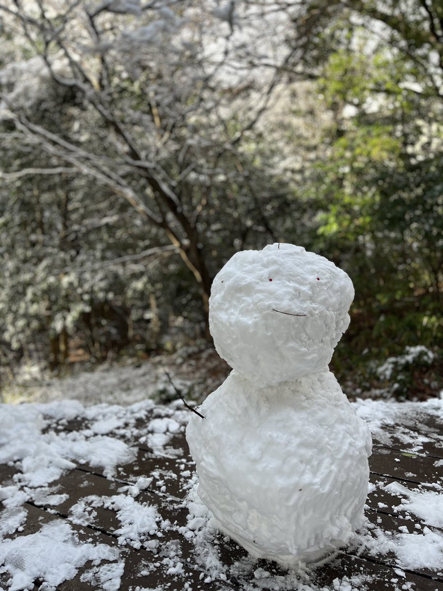 朝起きたらすげぇことなってたんで雪だるま作りました