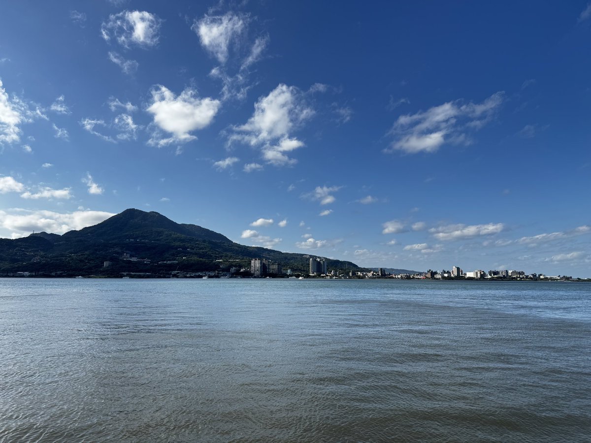 Dogs275's tweet image. 淡水に朝散歩。