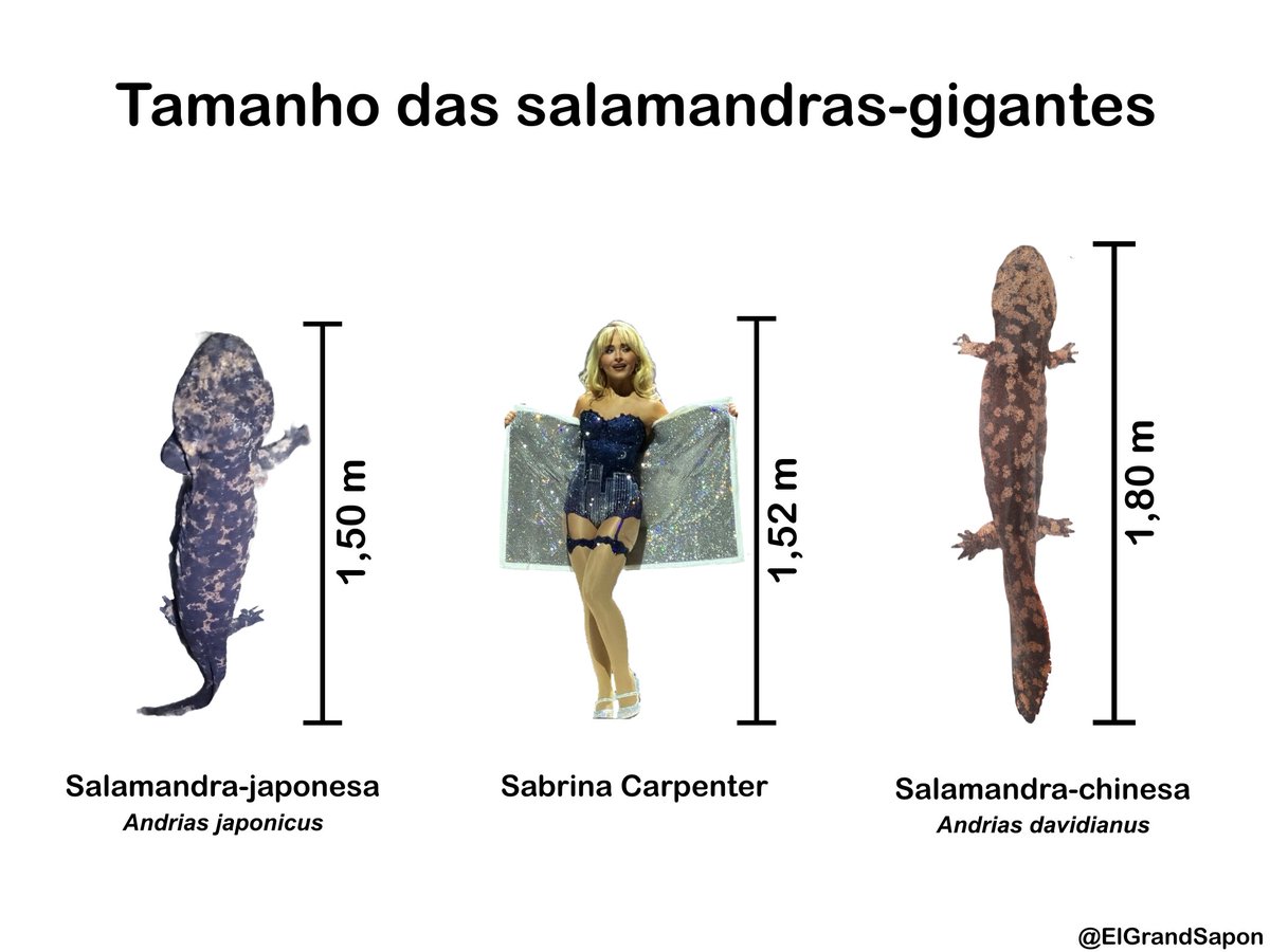 🪩 june ⚢ (@8inkyfish) / Posts / X