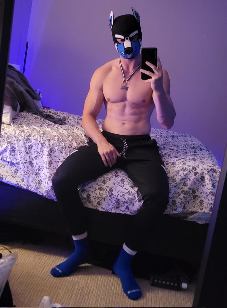 Raizu TheFox tweet media