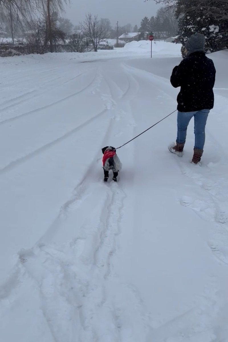 Rick Rier tweet media