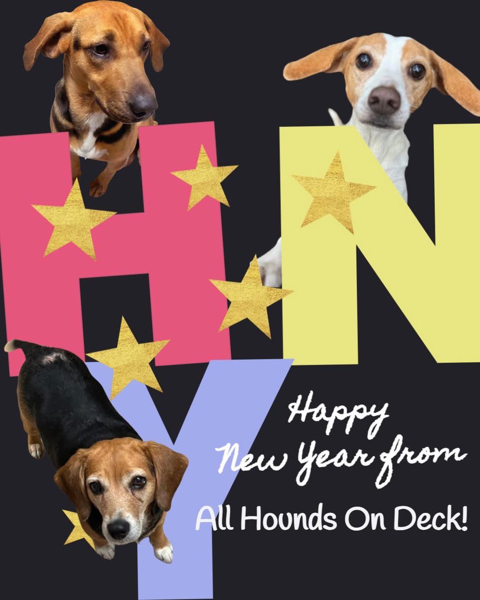 _AHOD_'s tweet image. Pluto, Clover, and Molly hope everyone had an amazing New Year! They are all available for adoption, please reach out if interested
#adoptdontshop #hounddog #dogsoftwitter #dogrescue #foreverhome