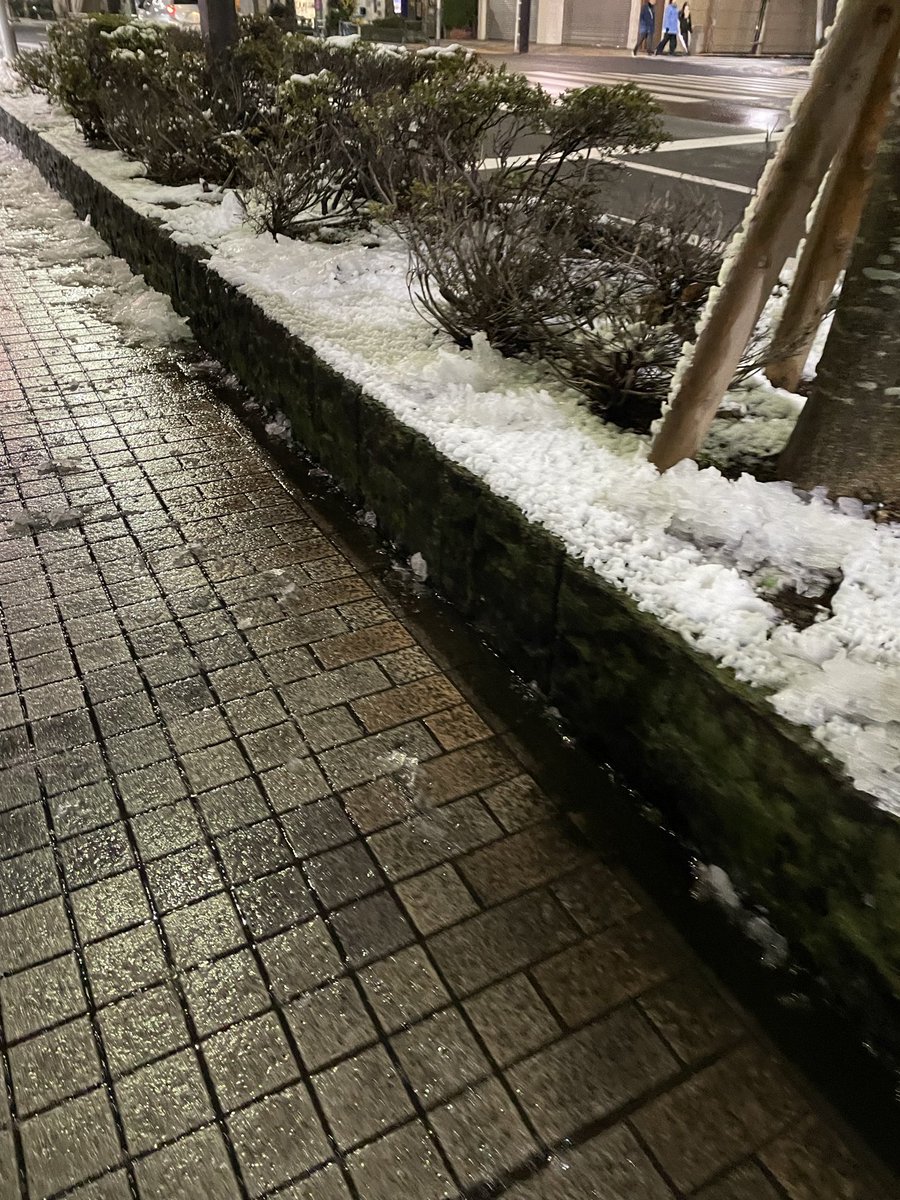 king_mayumi tweet media