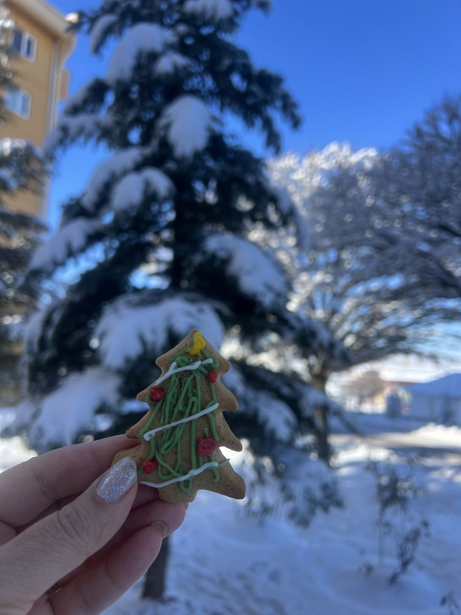 Kışı sevmem elimde olsa yaşadığim her mevsim yaz olurdu ✨
İçimdeki geçmeyen sımsıkı sevgin gibi 🙏🏼🫶🏻🤍