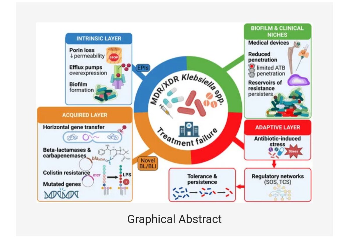 Antibiotic Steward Bassam Ghanem 🅱️C🆔🅿️🌟 tweet media