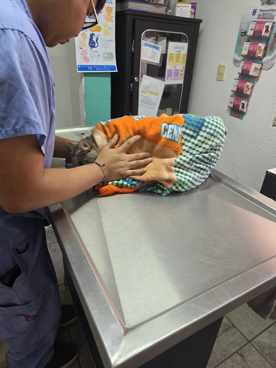 hola ! 
con el fin de pagar un tratamiento super urgente y vital para mi gatito estoy vendiendo mi colección de photocards. todas en $150, excepto las que estan indicadas de $100. (+)
#CDMX #PHOTOCARDS #VENTA