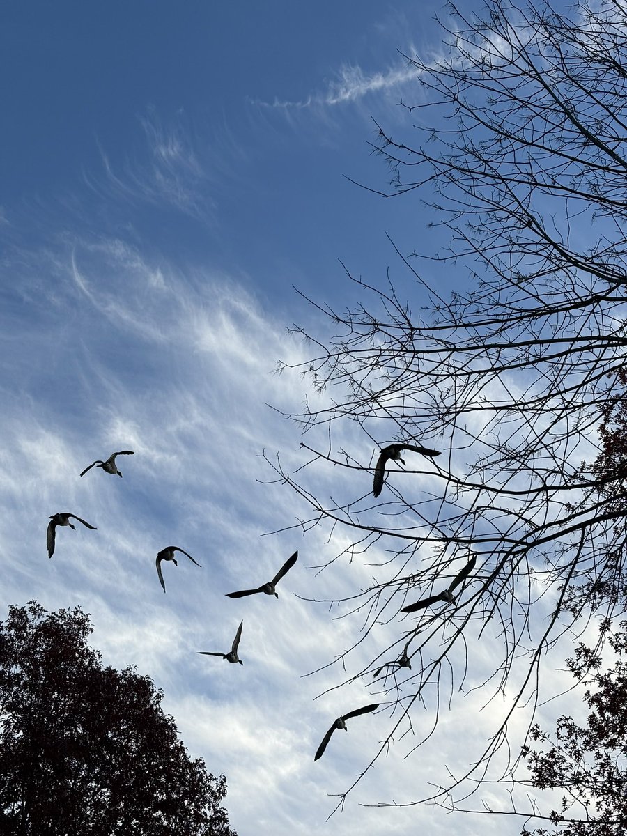 Burgeryearner's tweet image. 