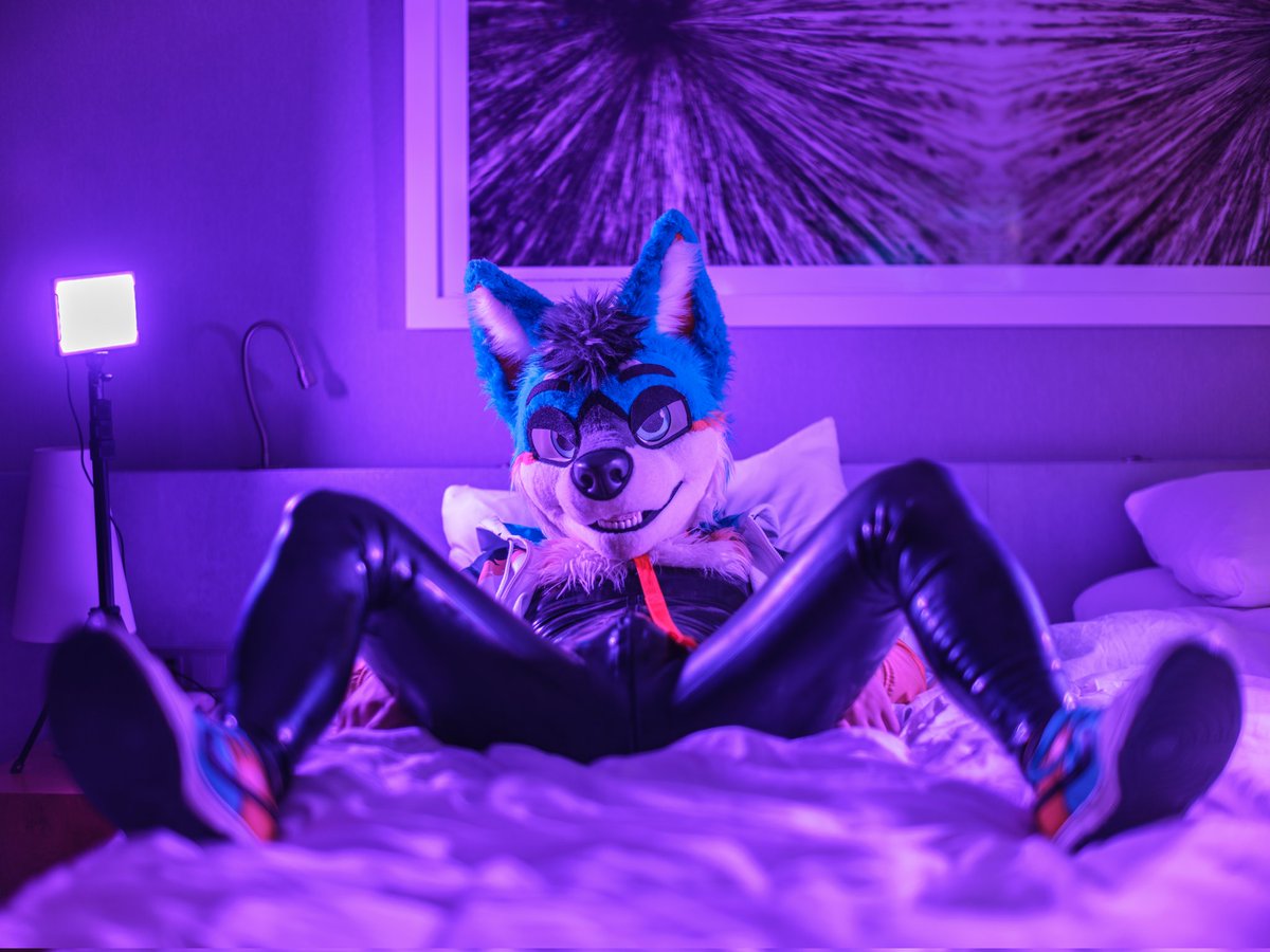 Nexus the Jackal tweet media