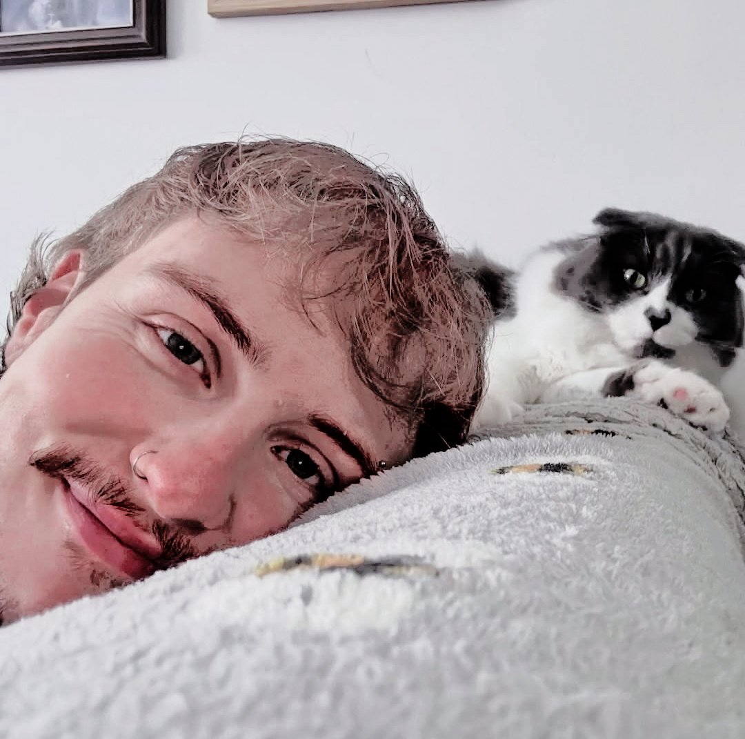 𝗟꩜𝗨𝗜𝗦. tweet media