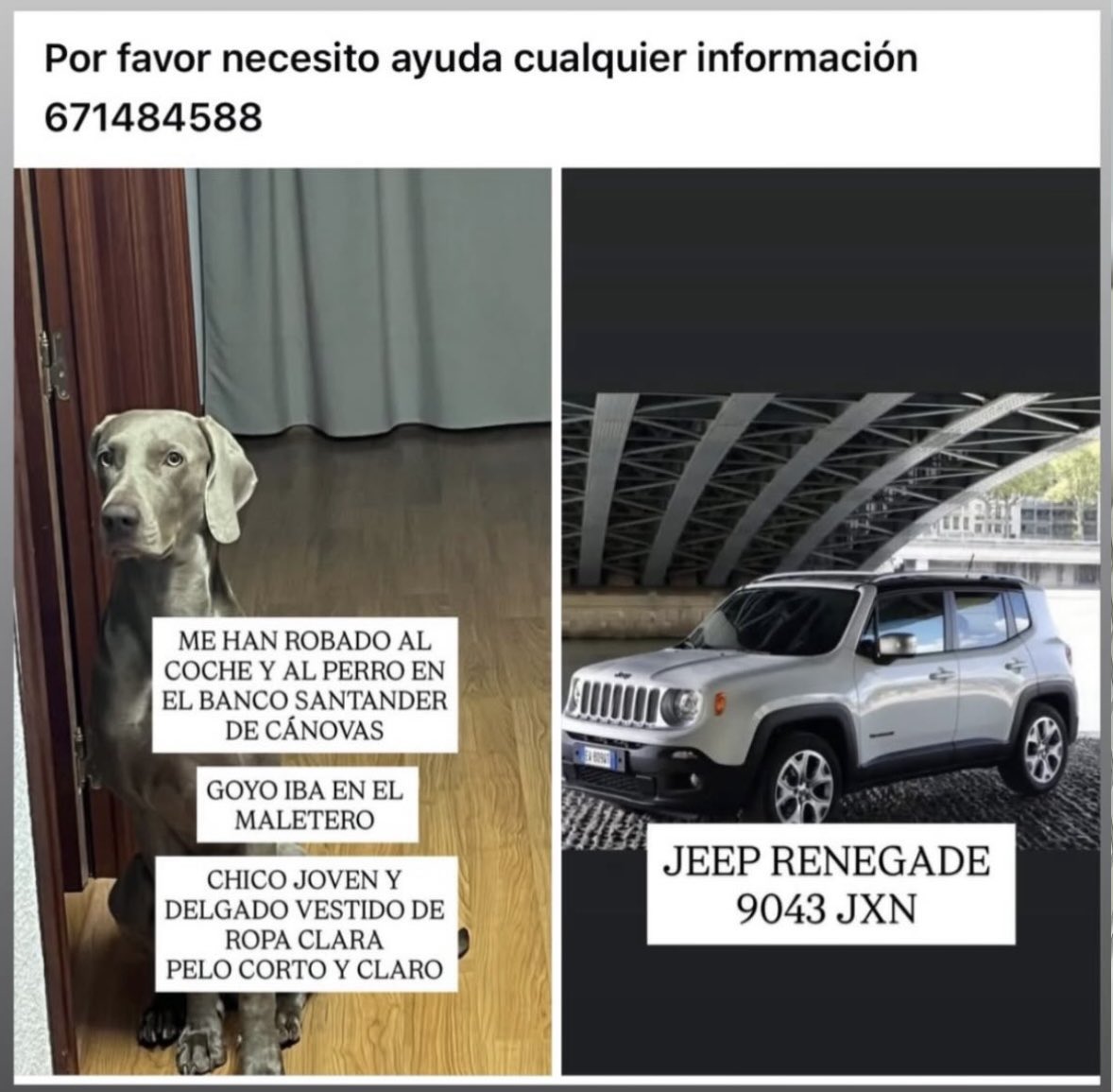 Necesitamos vuestra ayuda. Os agradecemos que nos facilitéis cualquier información.