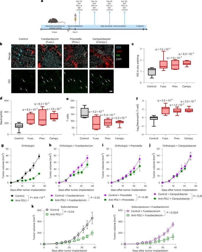 Waggoner Lab tweet media