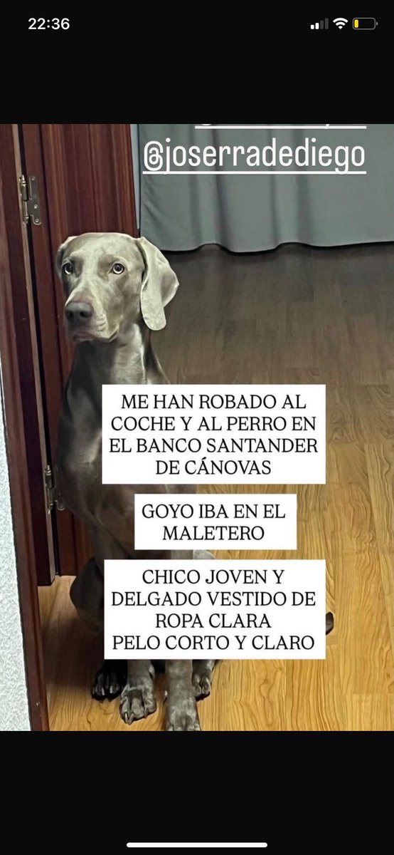 jose pacheco garcia tweet media