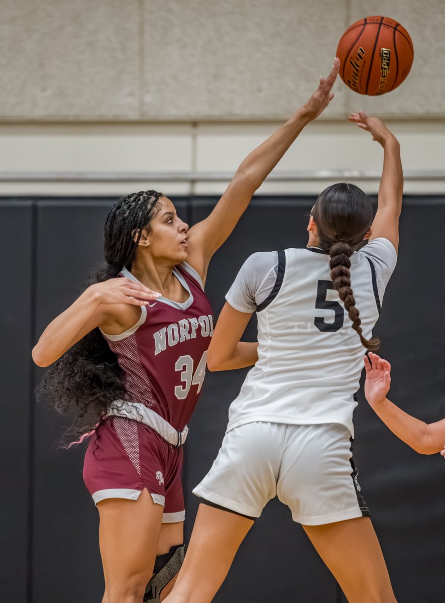 Brett P. Foley Photography tweet media