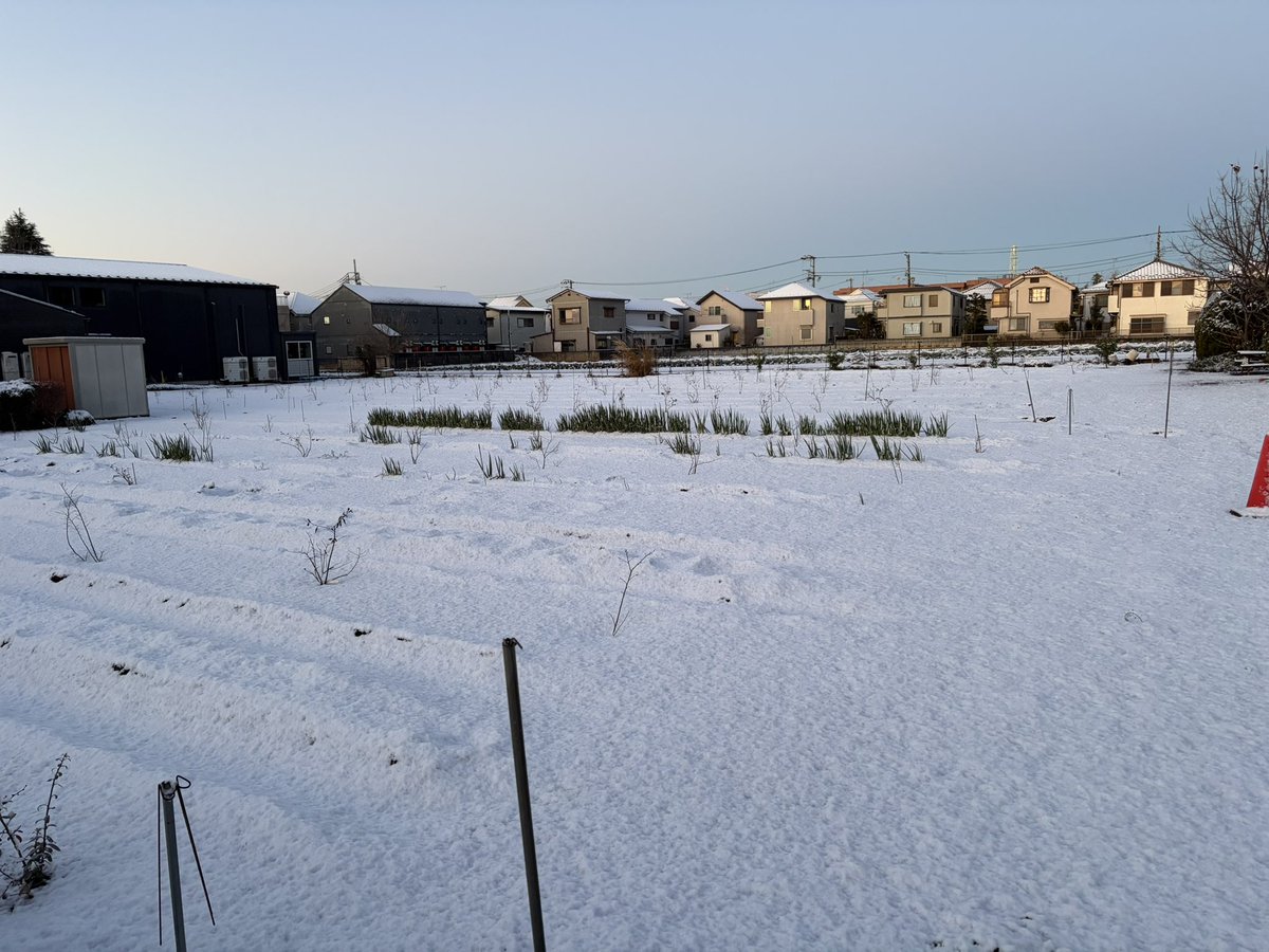 都内も雪❄️が残っています。