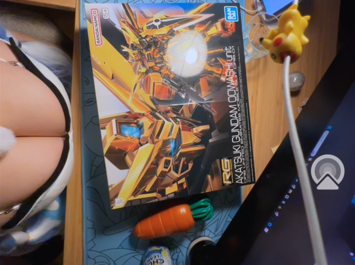 Hey <a href="/Twitch/">Twitch</a> <a href="/TwitchSupport/">Twitch Support</a>  can I ask how building #gunpla is oral sex?

Btw the carrot is a 3D cosplay print I made for #animeexpo it’s not a toy…

#twitch #cosplayer 
POV: