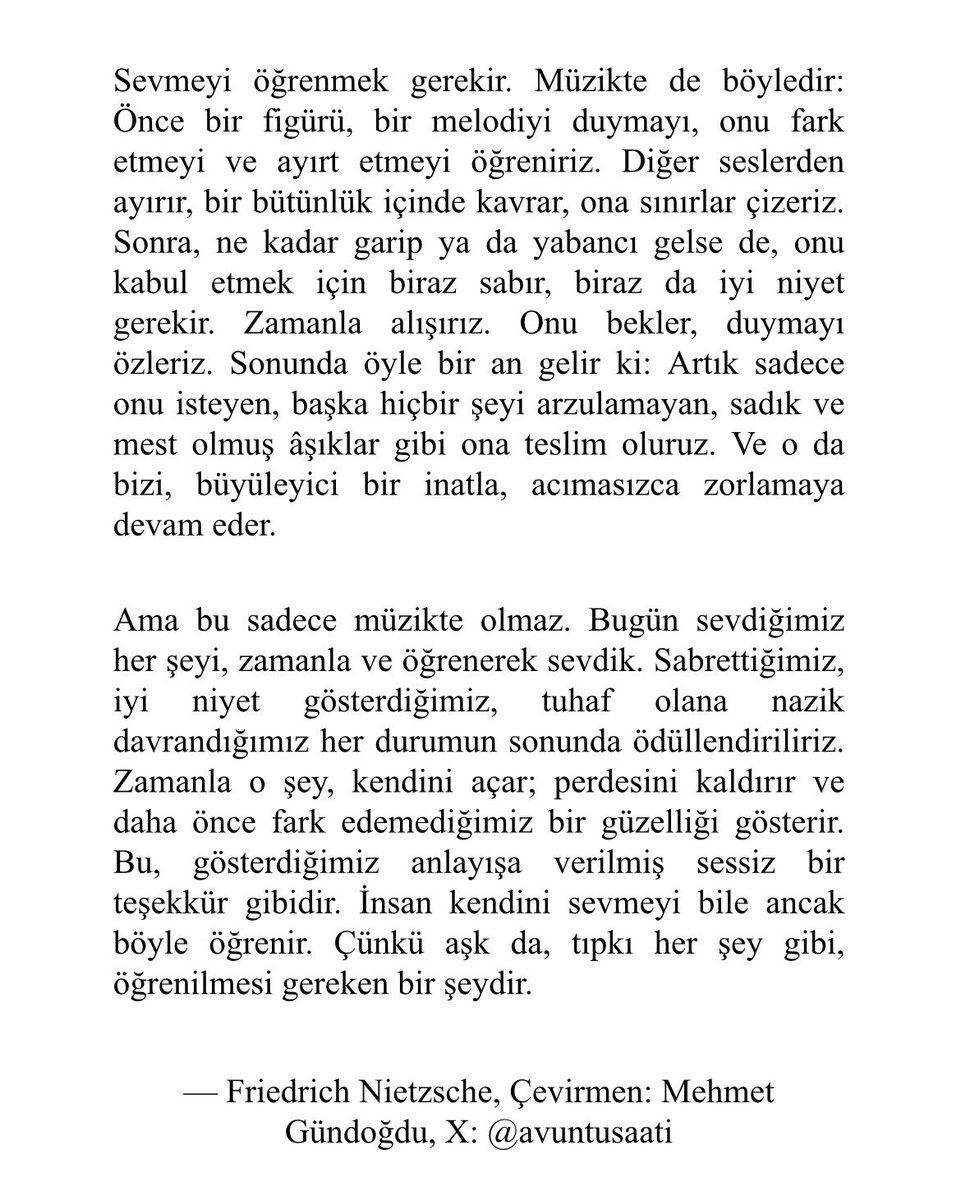 Sevmeyi öğrenmek. Nietzsche’den çevirdim