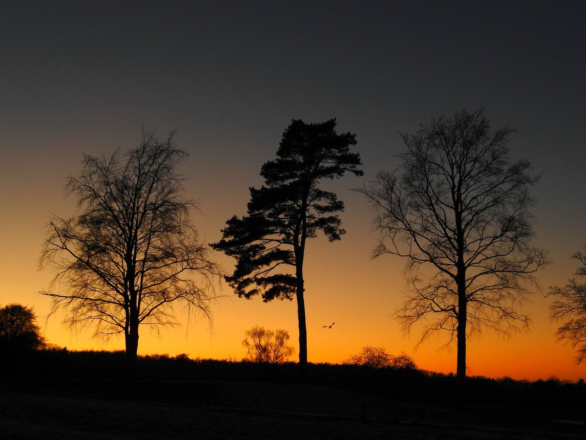 mildthing99's tweet image. "And three trees on the low sky...
...And arrived at evening, not a moment too soon
Finding the place; it was (you may say) satisfactory." T. S. Eliot
@CloudAppSoc @StormHour @ThePhotoHour @metoffice  #StormHour #loveukweather #getoutside