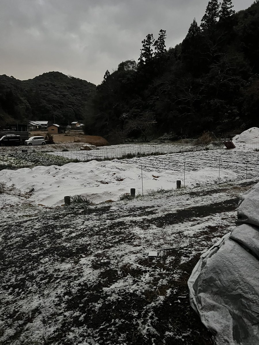 田舎の者mo-chan (@moss0782ga) / Posts / X