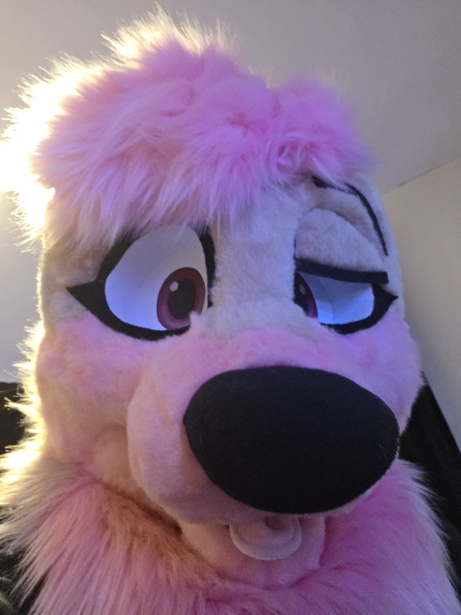 FloofIts's tweet image. What did you do! For this pink otter to react like this!?

Wrong answers only 🤣
