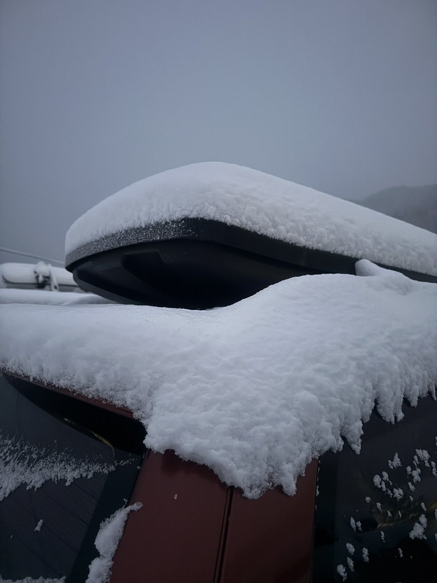 よっしー (@yosshi_862) / Posts and Replies / X