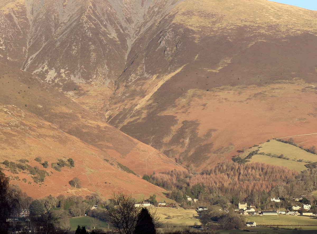 rly cool girl tweet media