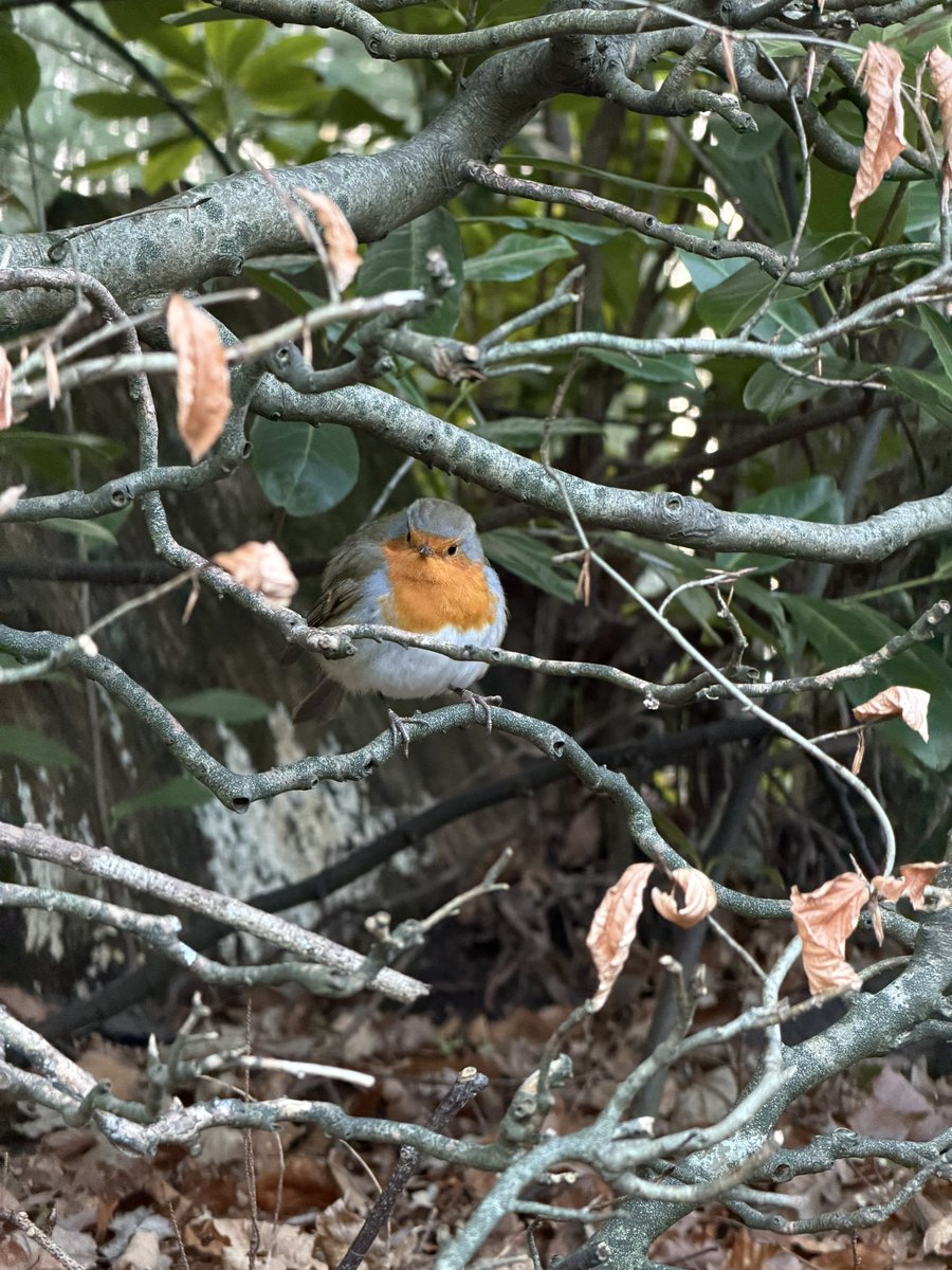 rly cool girl tweet media