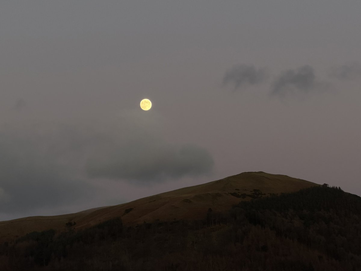 rly cool girl tweet media