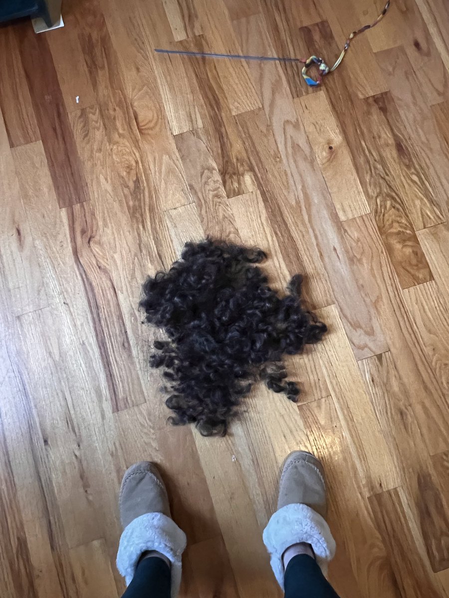 maximeexotic's tweet photo. Just shaved my bush https://t.co/vrCwguLhmJ