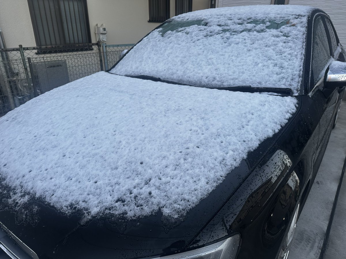 わー𝕏 tweet media