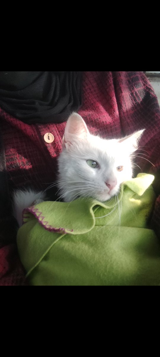 Engmuna20's tweet image. Hello 🖤
I missed you all so much, I’ve been away for a while…
Does anyone still remember me? 🤍🌚