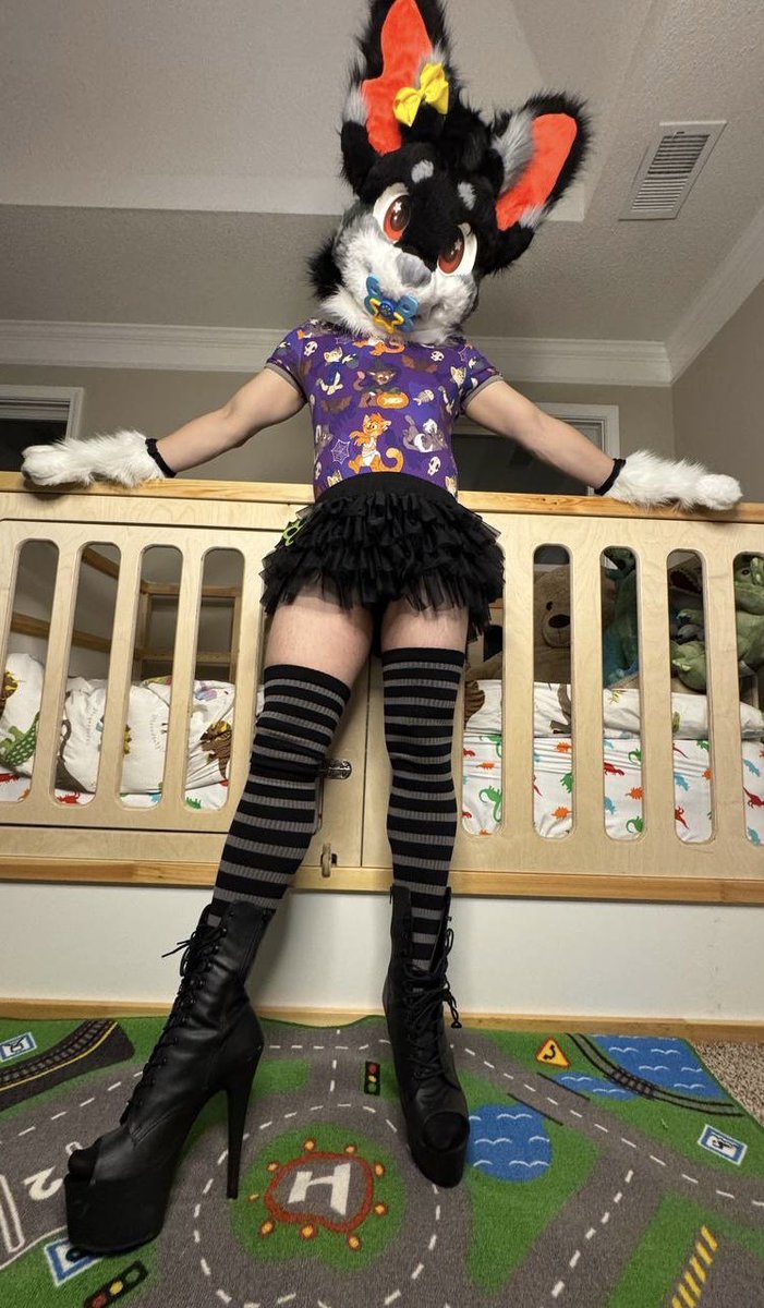 Any pups wanna go party with this baby?