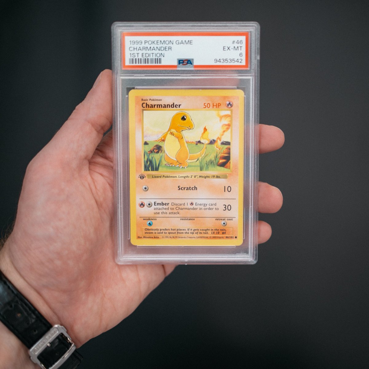 krtv.monke tweet media