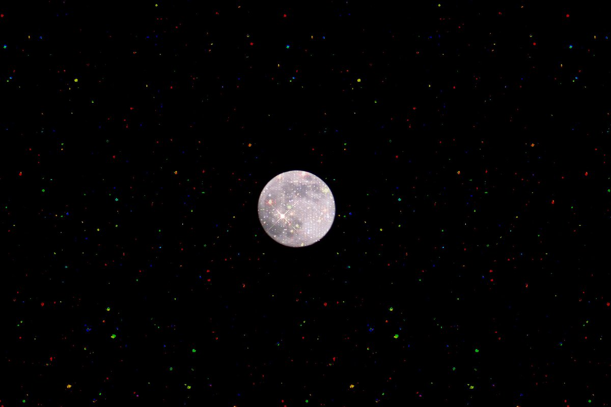 maeeee✨🐧 tweet media