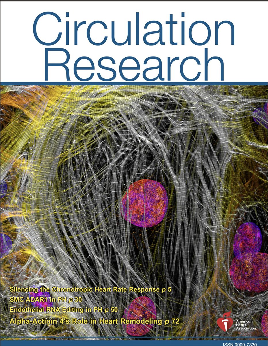 Dylan Burnette tweet media