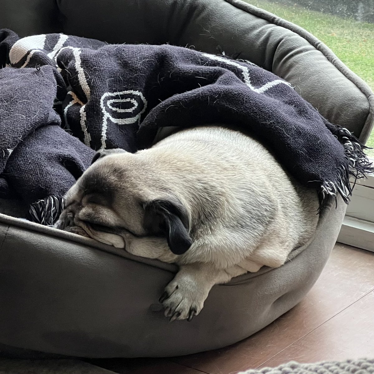 Abbie 💕 TGWDLM ERA 🪓 tweet media