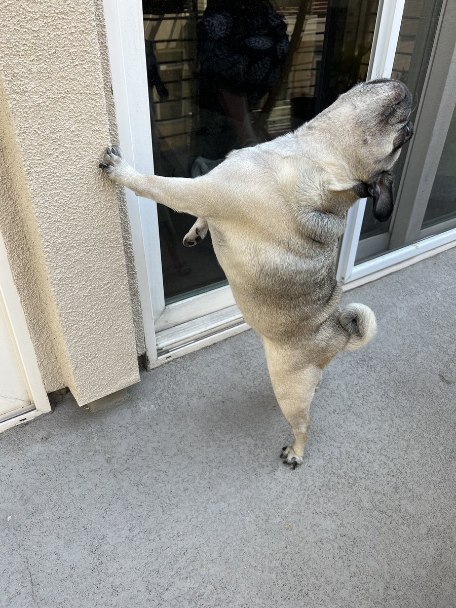 Abbie 💕 TGWDLM ERA 🪓 tweet media