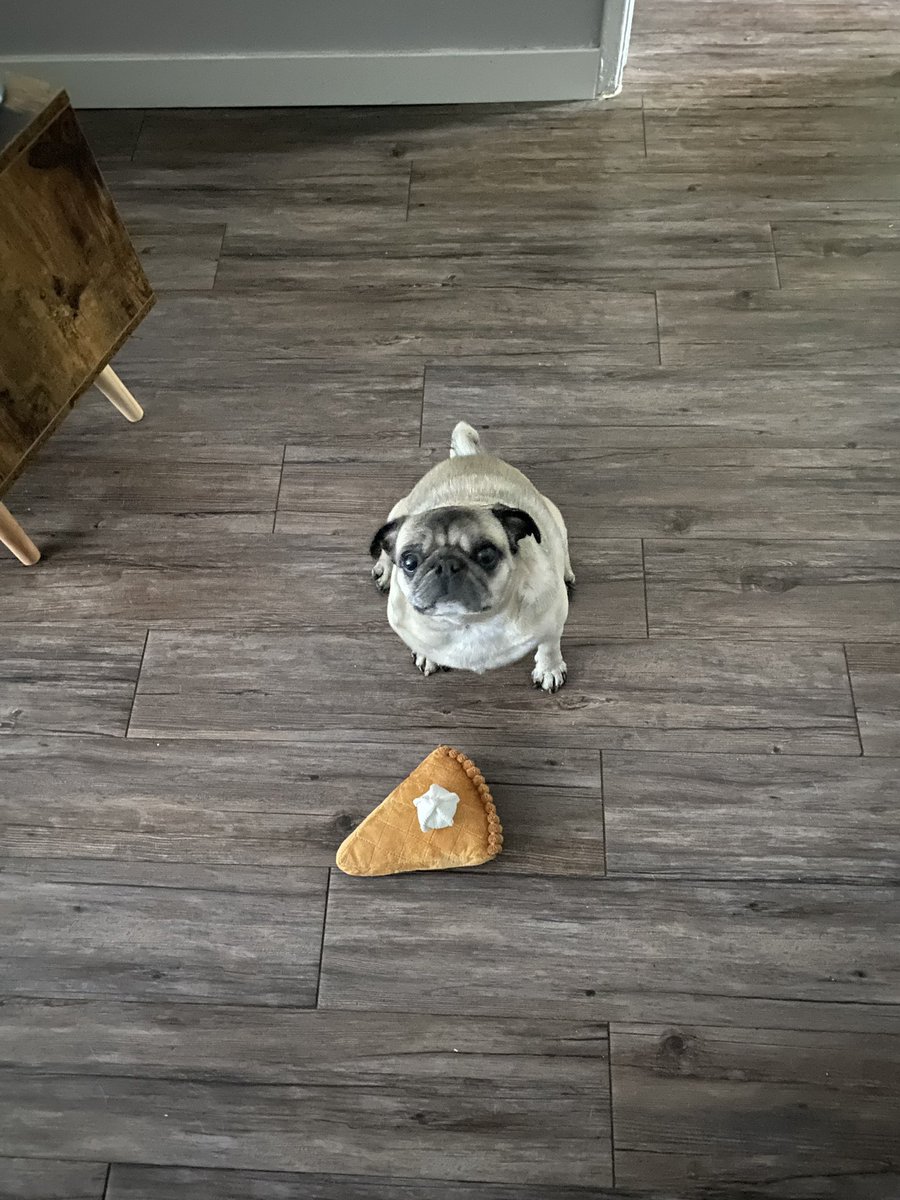 Abbie 💕 TGWDLM ERA 🪓 tweet media