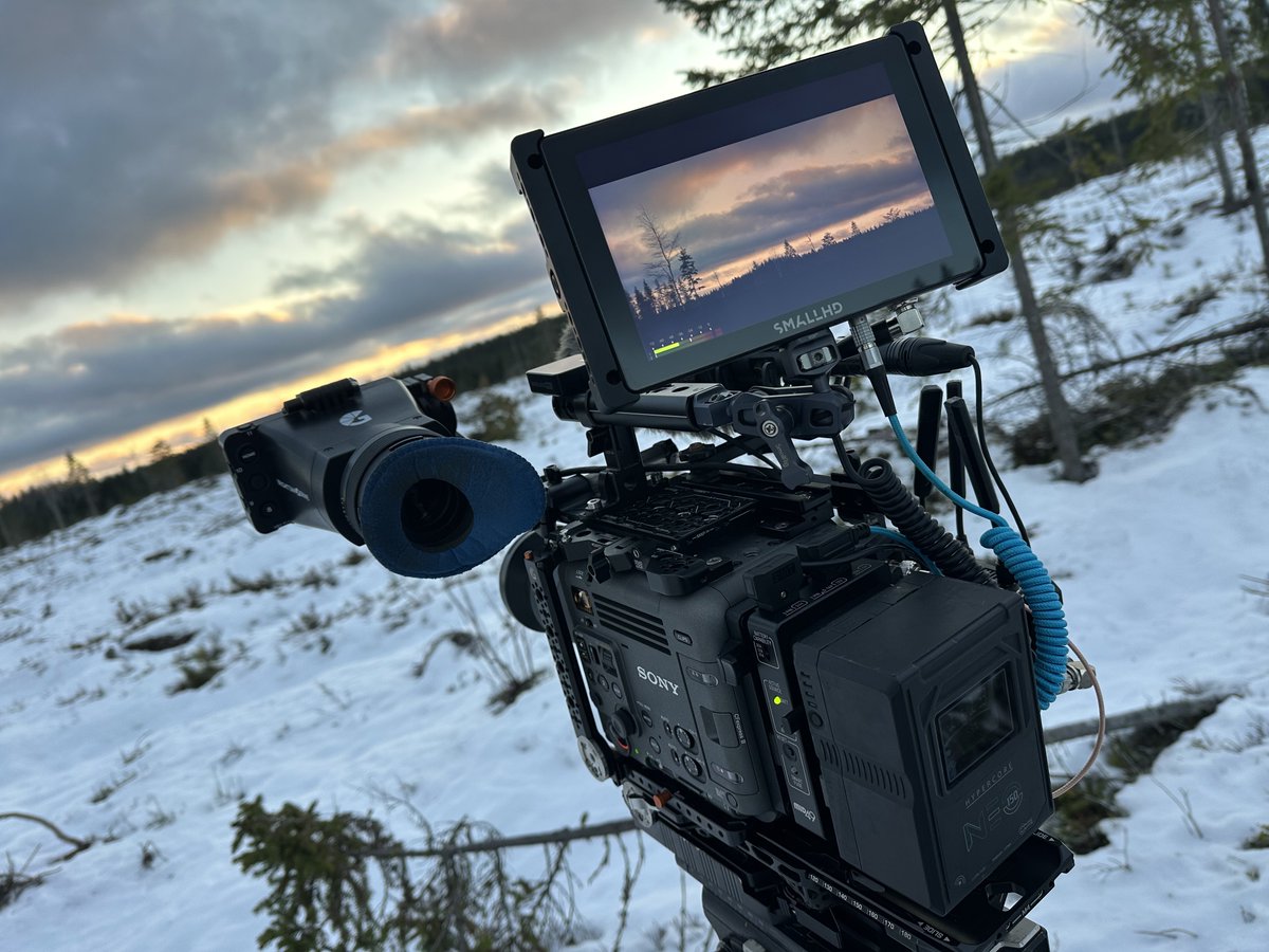 Gavin Rawlings tweet media