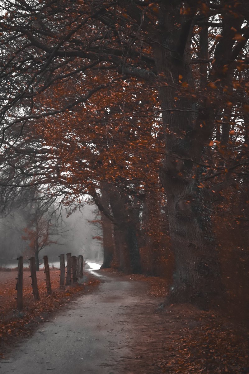 <a href="/Sam_Alexandra23/">Stephanie Alexandra</a> #Photography #Fog