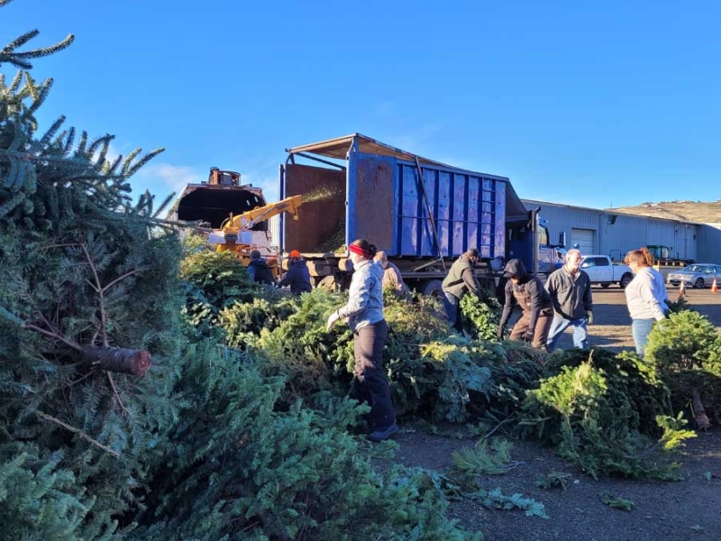 CityofYakima's tweet image. 🌲Winding down the #holidayseason? Camp Prime Time offers tree recycling at Pape Machinery, 3110 Fruitvale Blvd, 8 am to 5 pm through Jan. 4th. Details at campprimetime.org/events/#Christ…
📷Camp Prime Time