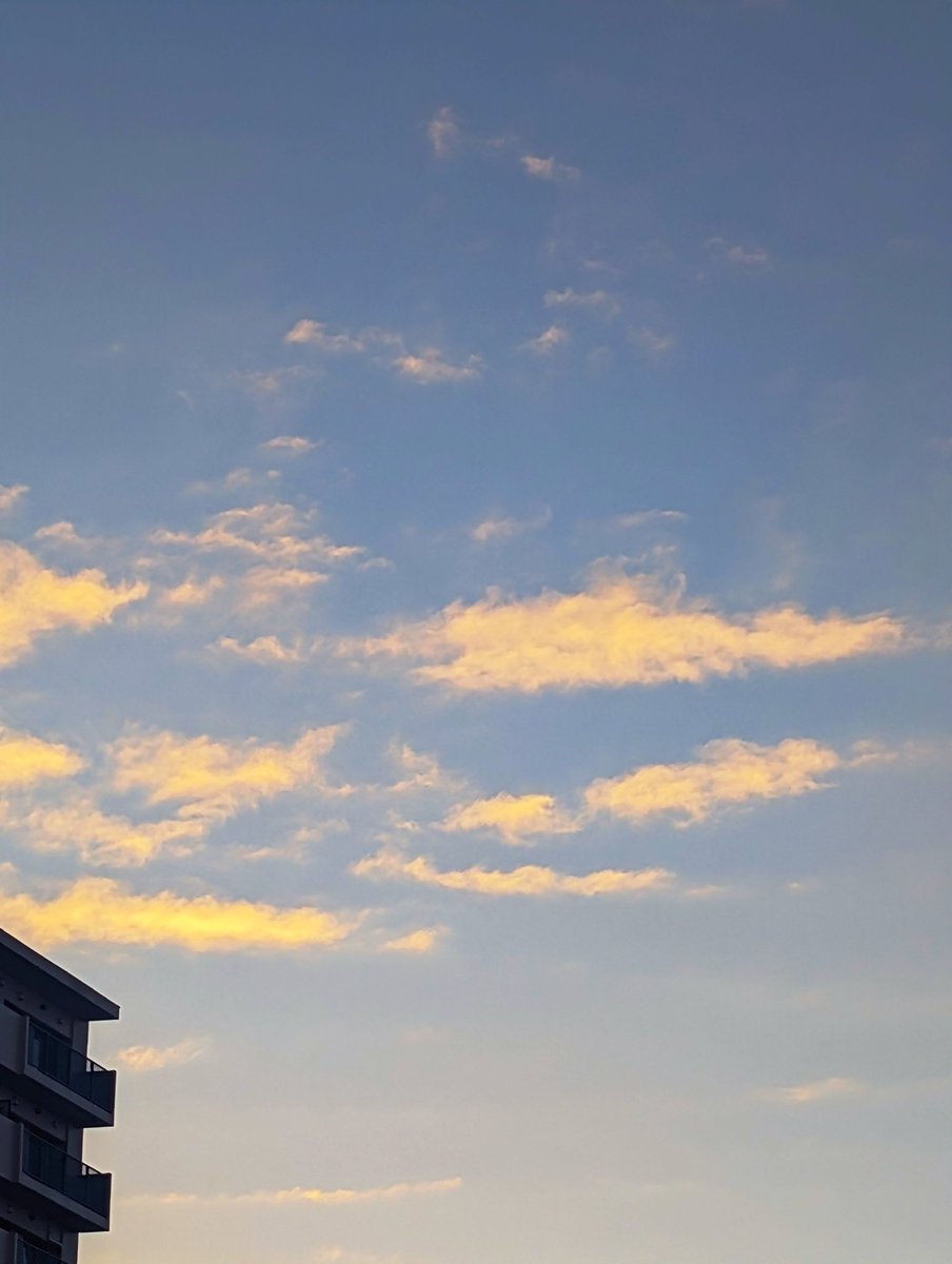 nick_trigger11's tweet image. おはようございます(*^^*)
 #イマソラ
 #スマホ写真