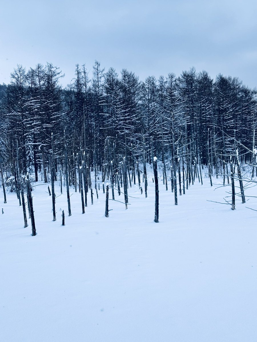 最高に綺麗や～
