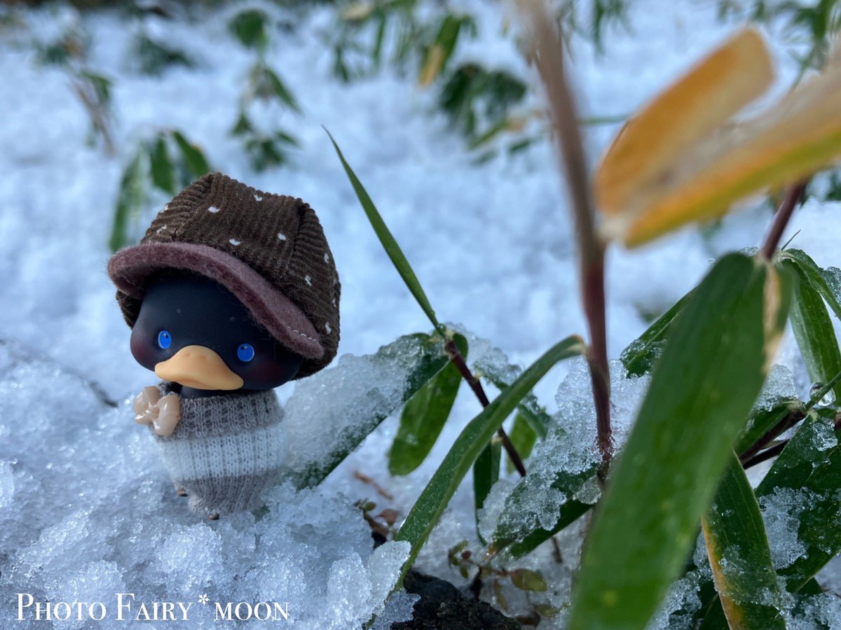 あけまして
おめでとうございます！

今年はどんな年になるでしょう。
心穏やかな一年になりますように🎍
