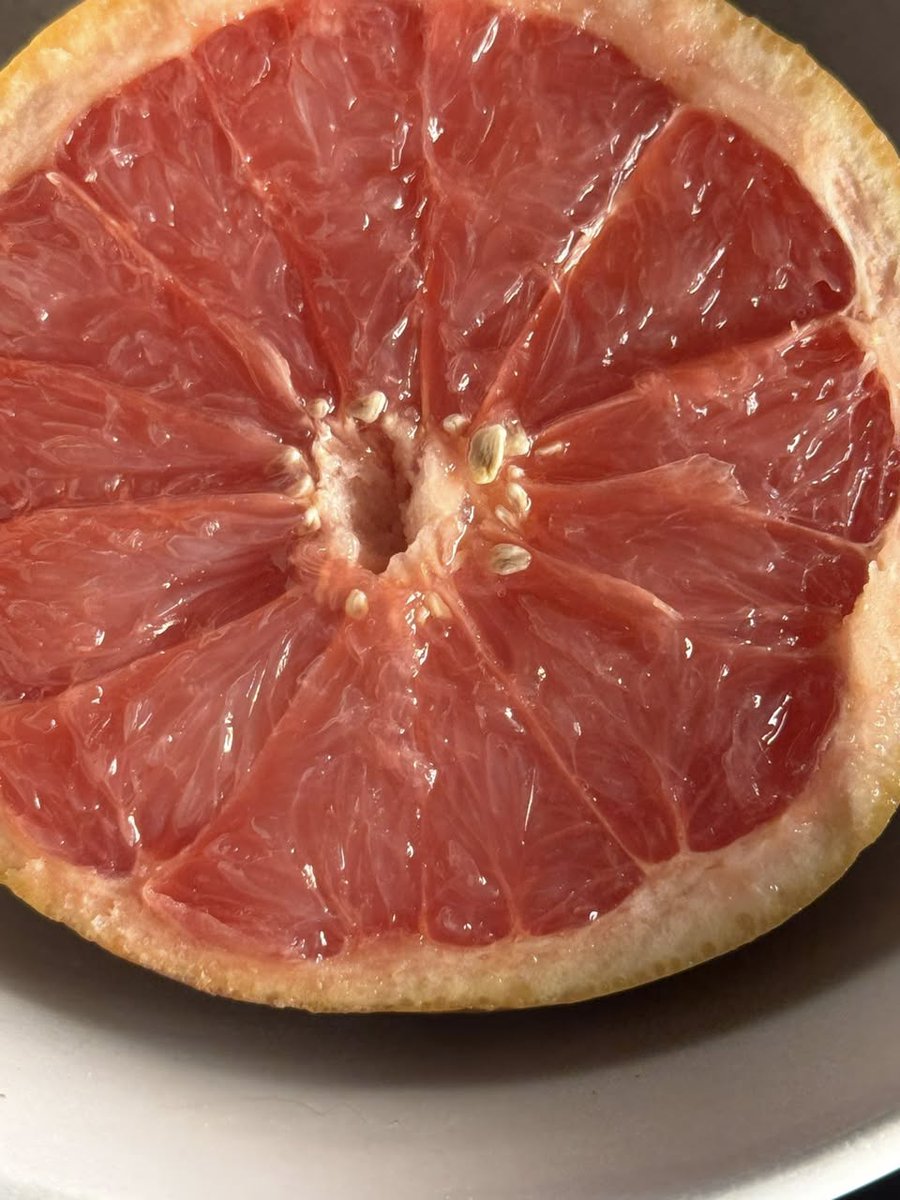 paulinepark's tweet image. I'm savoring a #grapefruit; it's low-calorie yet nutritionally-dense &amp;amp; is loaded with vitamins A &amp;amp; C, calcium &amp;amp; iron and I love its tartly sweet &amp;amp; tangy citrus flavor~! #grapefrukt #pamplemousse #pompelmo #pomelo 

indifferentlanguages.com/words/grapefru…