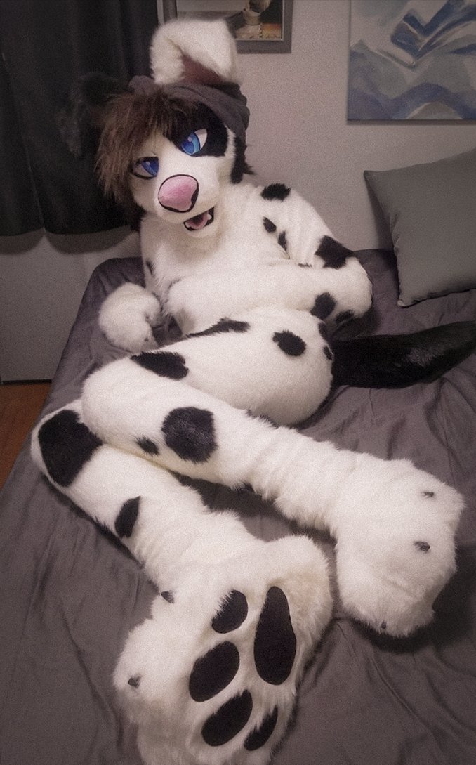 Dally Doggo tweet media