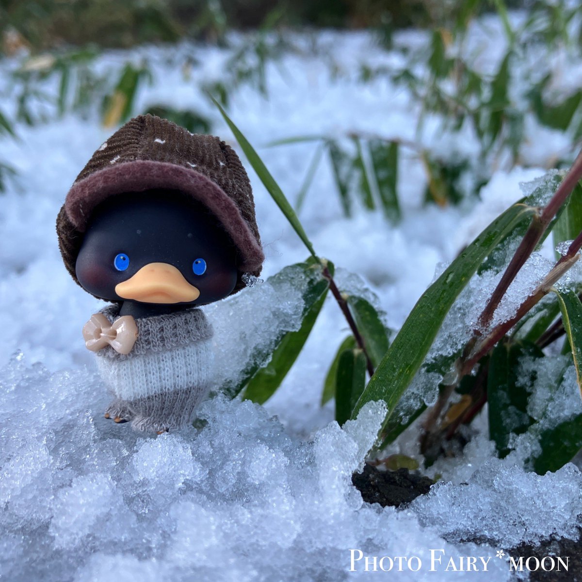 昨日の仕事帰りは雹？に当たり
カーテン開けた朝　そこは雪国でした

さぁ今日も頑張りましょう🚃

でもなんで休みじゃないのー！雪と戯れたい🐶